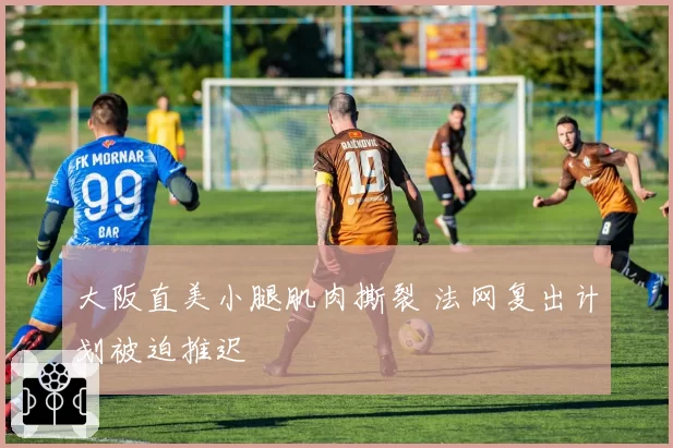 大阪直美小腿肌肉撕裂 法网复出计划被迫推迟
