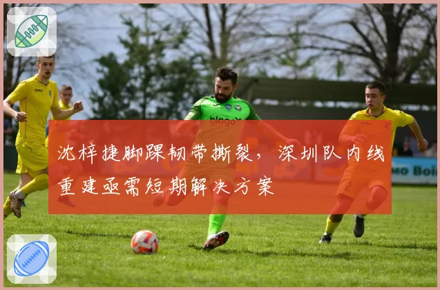 沈梓捷脚踝韧带撕裂，深圳队内线重建亟需短期解决方案