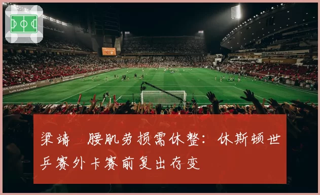 梁靖崑腰肌劳损需休整:休斯顿世乒赛外卡赛前复出存变