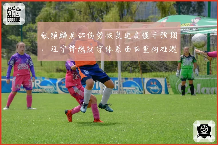张镇麟肩部伤势恢复进度慢于预期，辽宁锋线防守体系面临重构难题